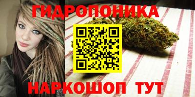 гашик Тверь