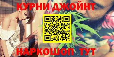 гашик Тверь