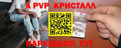 гашик Тверь