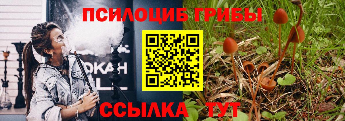 Псилоцибиновые грибы ЛСД  Псилоцибиновые грибы GOLDEN TEACHER  Вход с VPN  Новоалександровск 