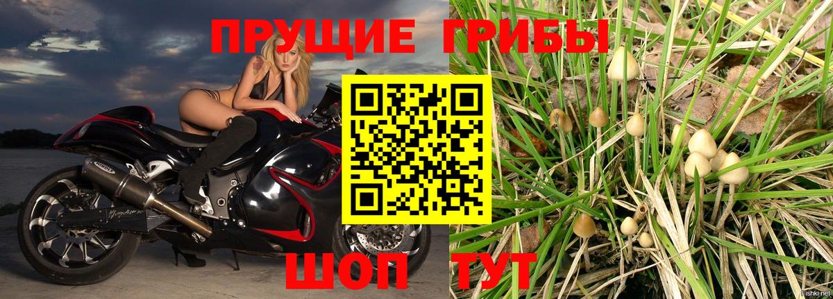 Псилоцибиновые грибы мухоморы Новоалександровск