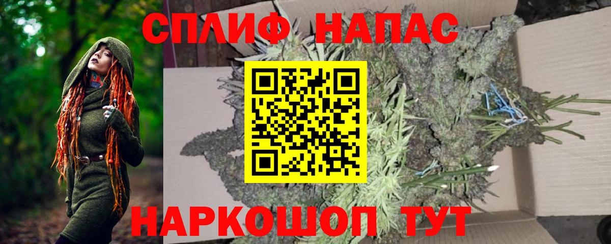 Шишки марихуана конопля Новоалександровск